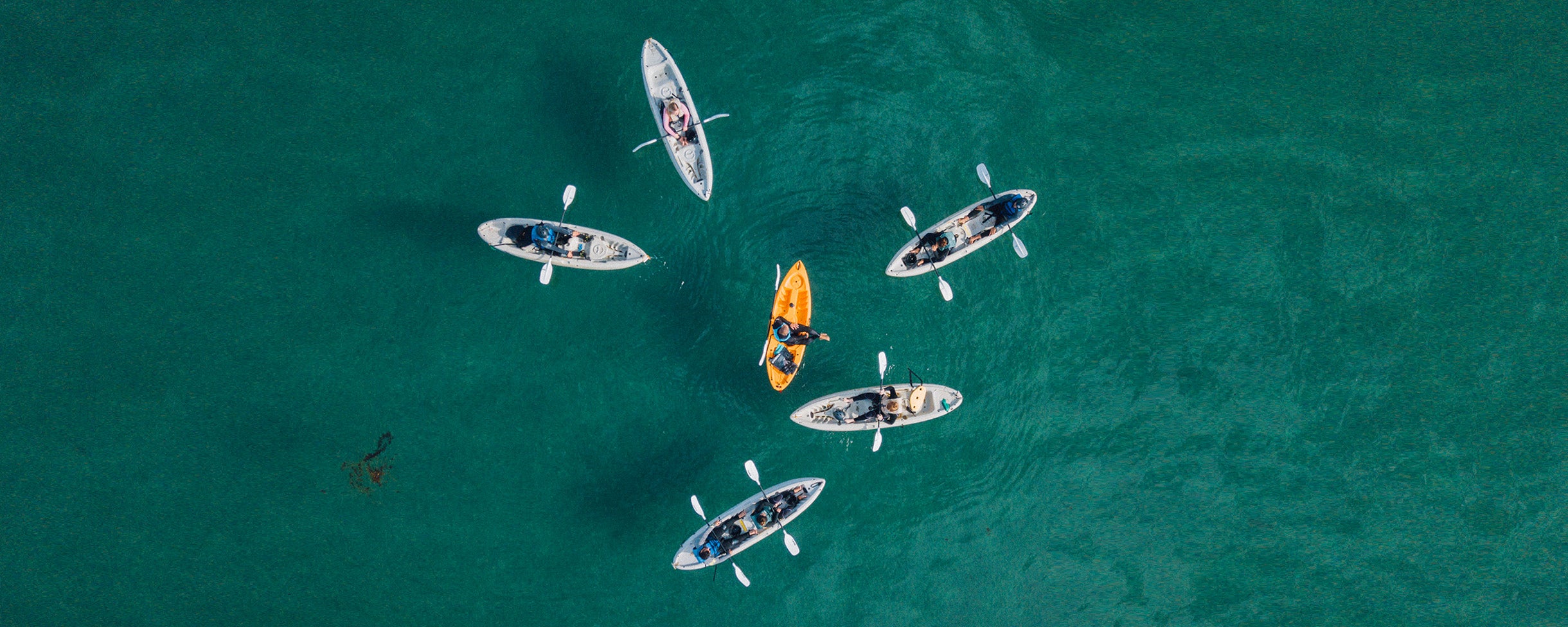 Drone shot of Everyday California’s Sea Cave Kayak Tour in the La Jolla Shores Ecological Reserve and Marine Park