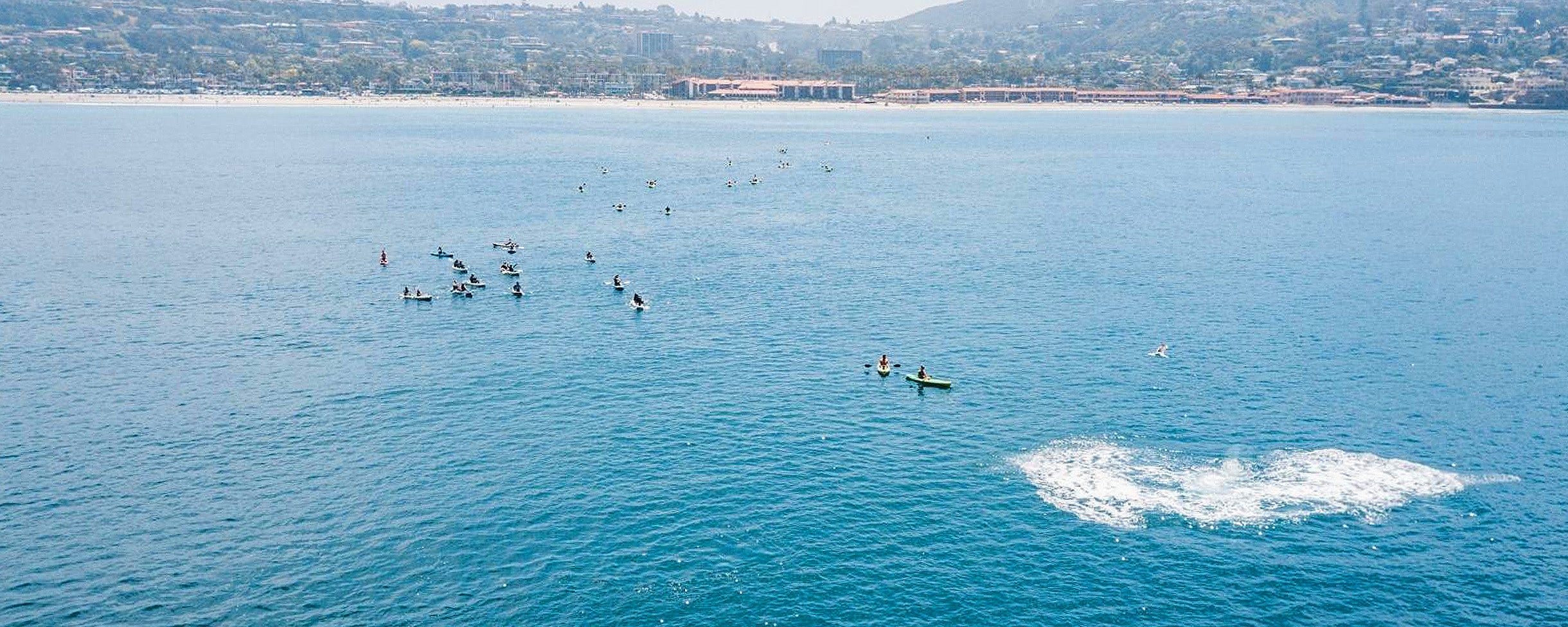 Overhead view of kayakers on an Everyday California tour on the Pacific Ocean in La Jolla, San Diego, California.